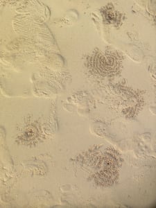 Sandkügelchen Sandkügelchen von Krebsen